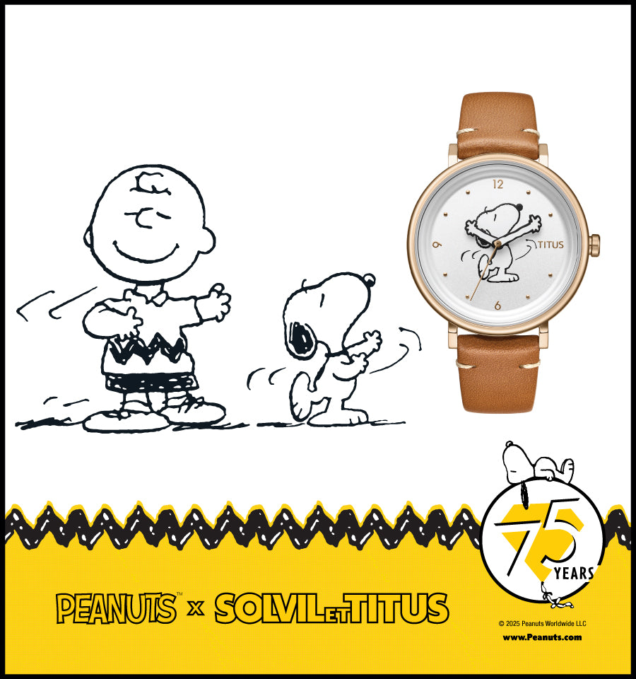 SOLVIL ET TITUS